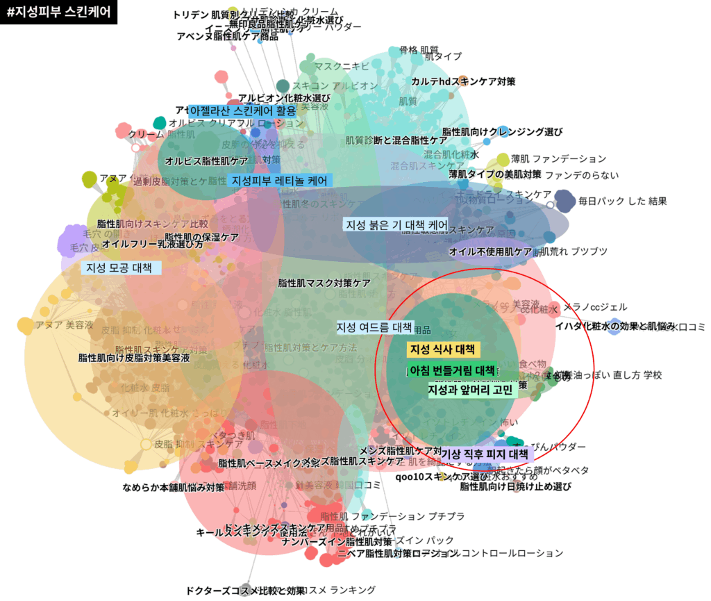 일본에서 지성피부 스킨케어 전후에 검색되는 키워드를 목적별로 분류한 이미지