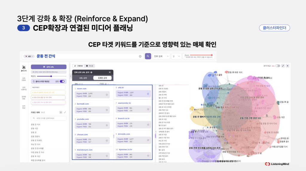 리스닝마인드 클러스터파인더를 통해 타겟 키워드를 중심으로 연관 키워드의 상위 URL를 보여주는 데이터 화면